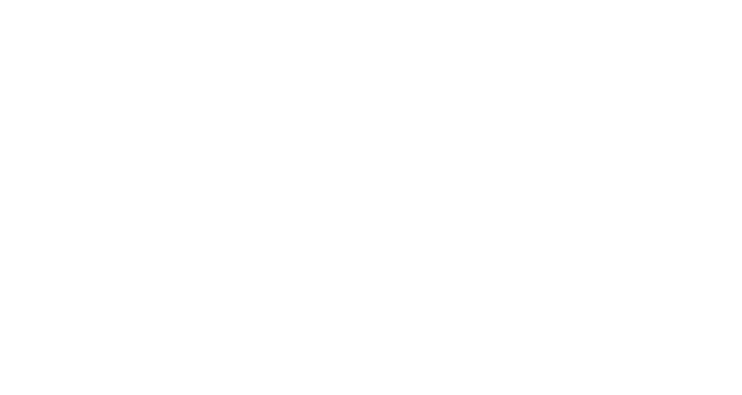 Log2save Logo White